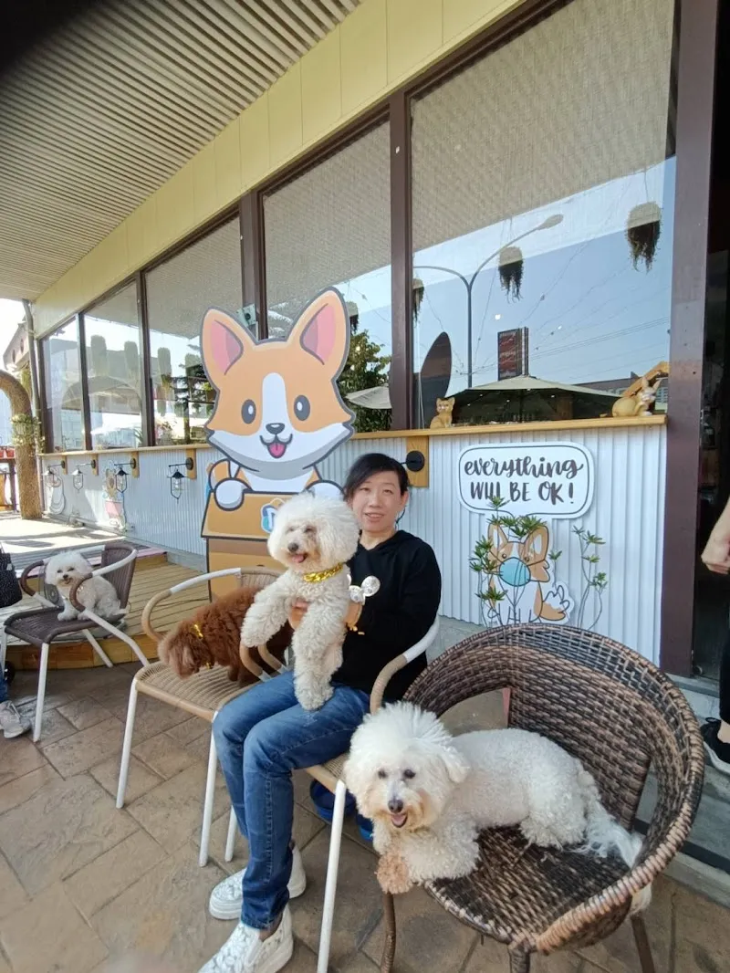 33MYCOFEE三山苑咖啡美食寵物餐廳