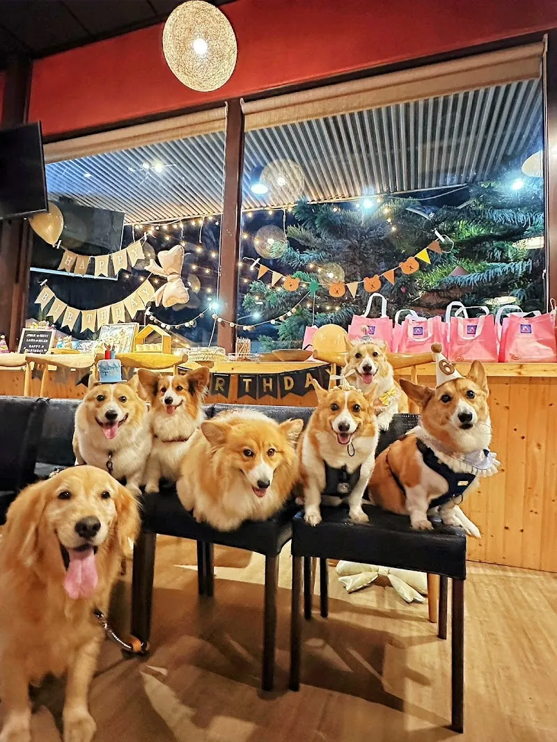 33MYCOFEE三山苑咖啡美食寵物餐廳