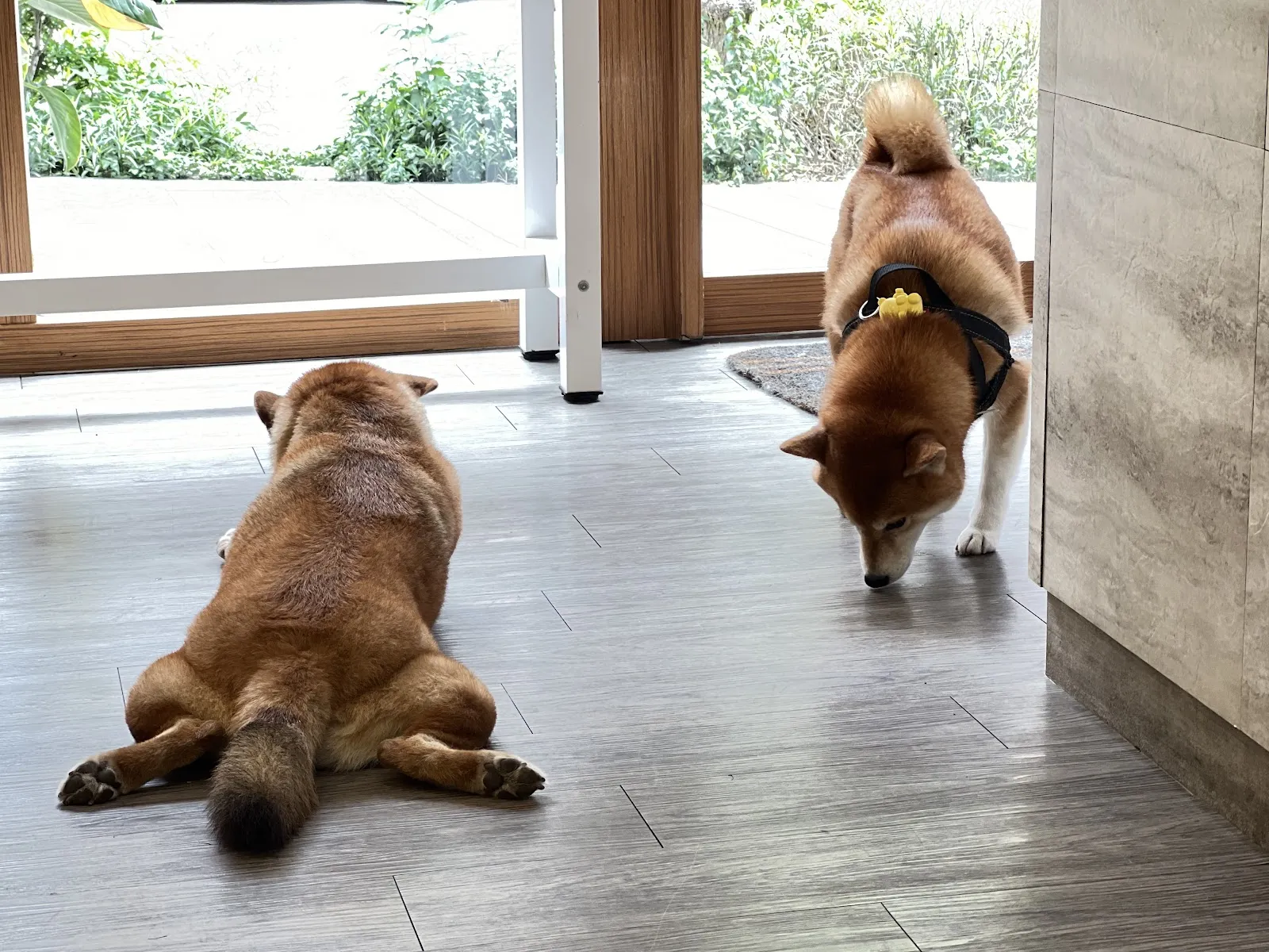 此木CIMU 寵物友善餐廳