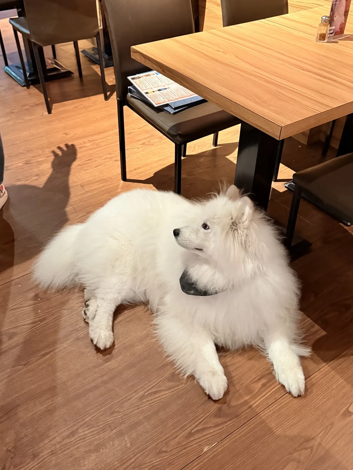 容燒居酒屋-崇德加盟店