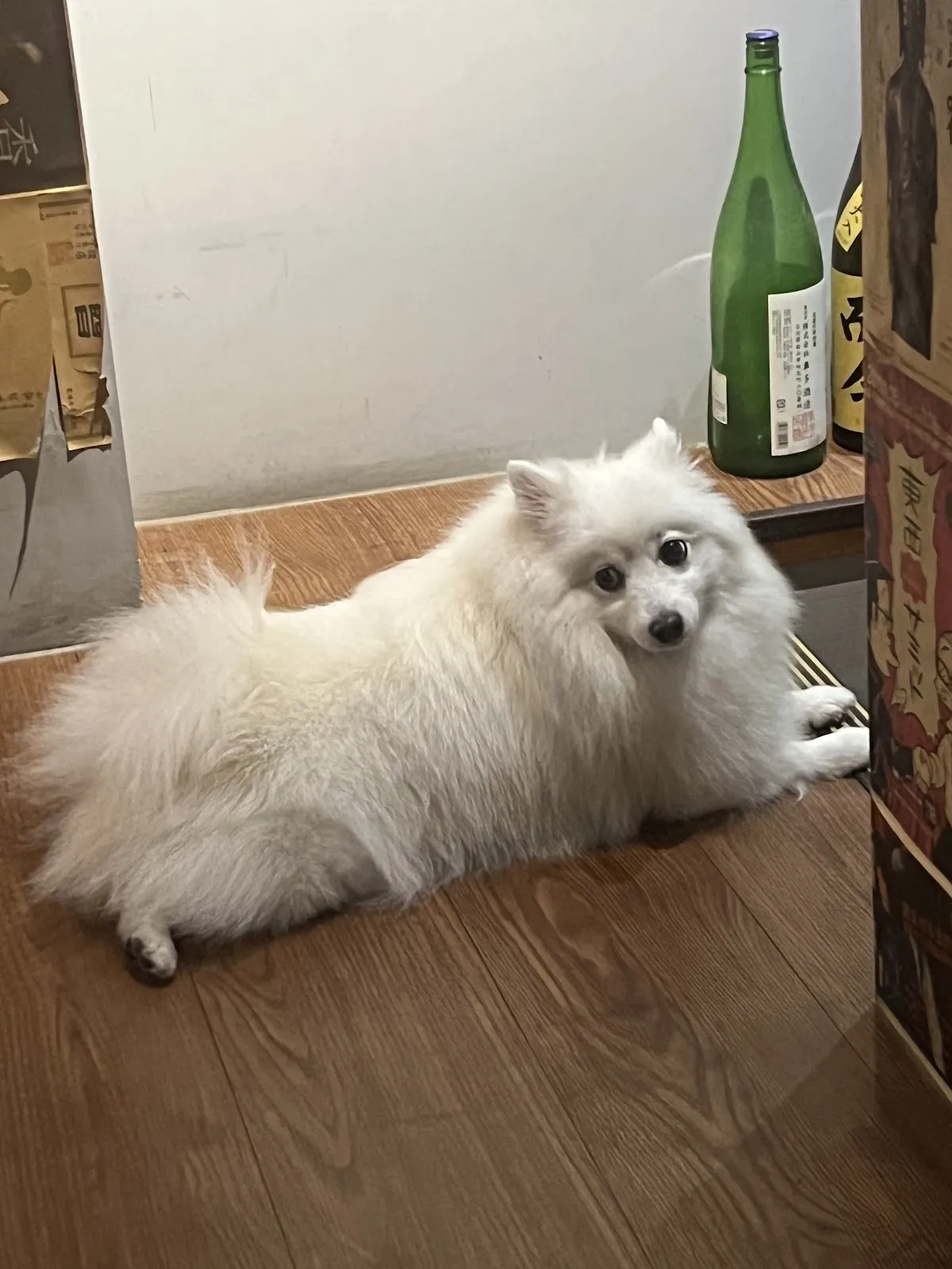 容燒居酒屋-崇德加盟店