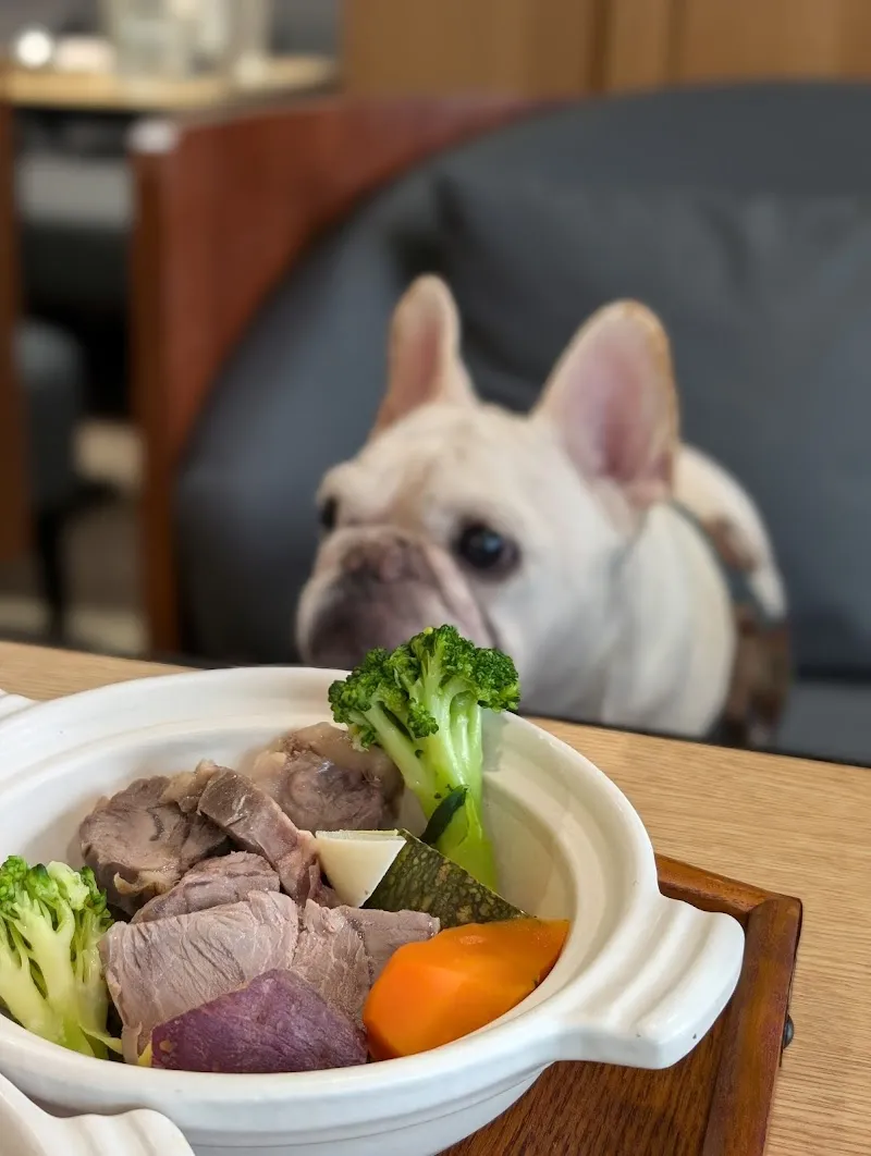 MAO MAO LEE 寵物餐廳