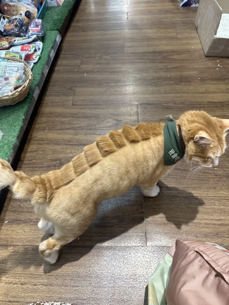 寵物公園(福德店) - 專業寵物用品&寵物美容