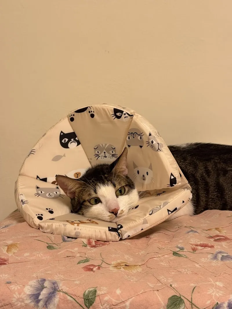 萬達寵物事業股份有限公司高雄新興分公司