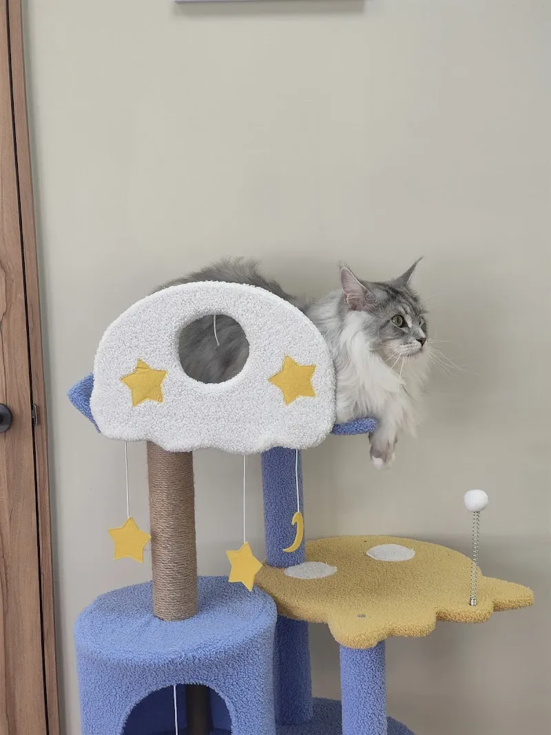 萬達寵物事業股份有限公司高雄新興分公司