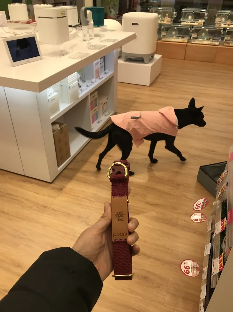 寵物公園(桃園龍安店)