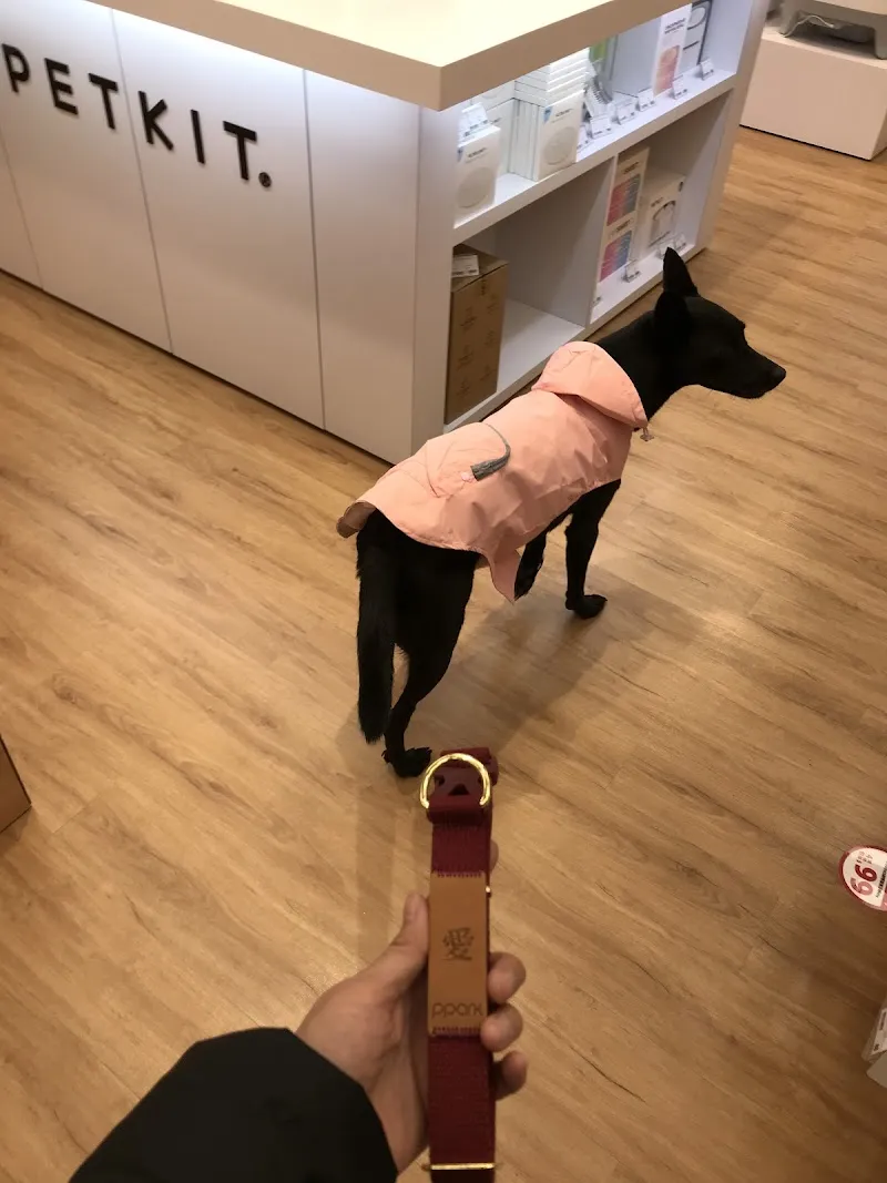 寵物公園(桃園龍安店)