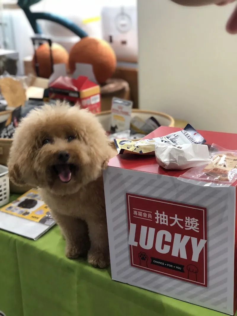 寵物公園(台中西屯店) - 專業寵物用品&寵物美容