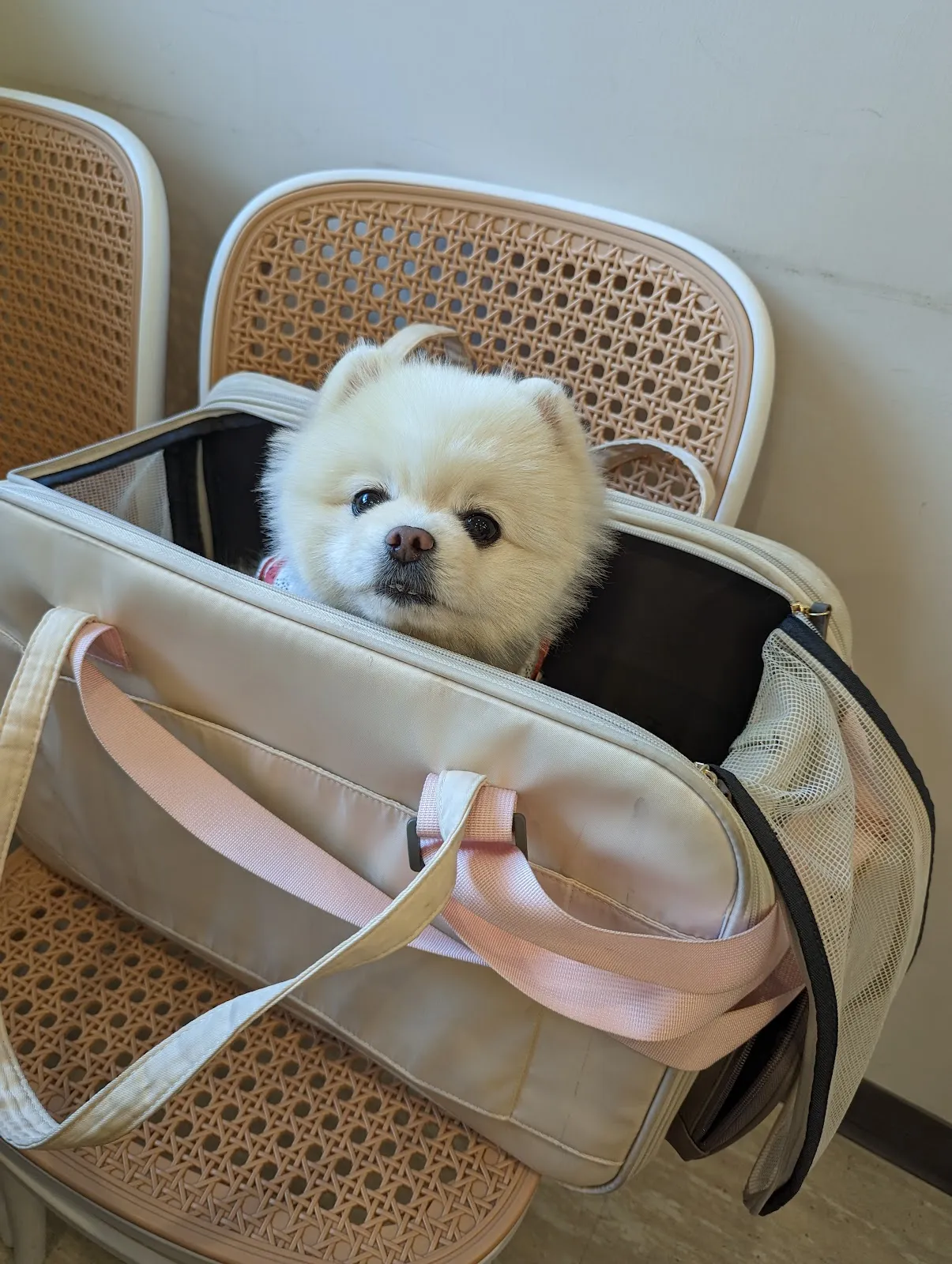 Haooyun Station 好運站