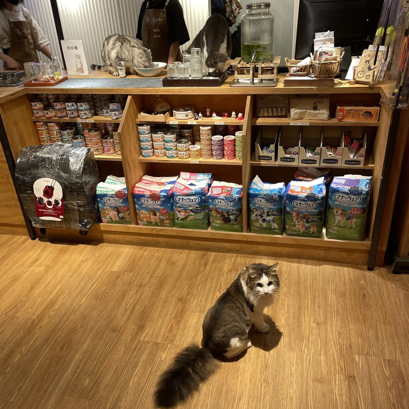 小春日和 動物雜貨‧珈琲