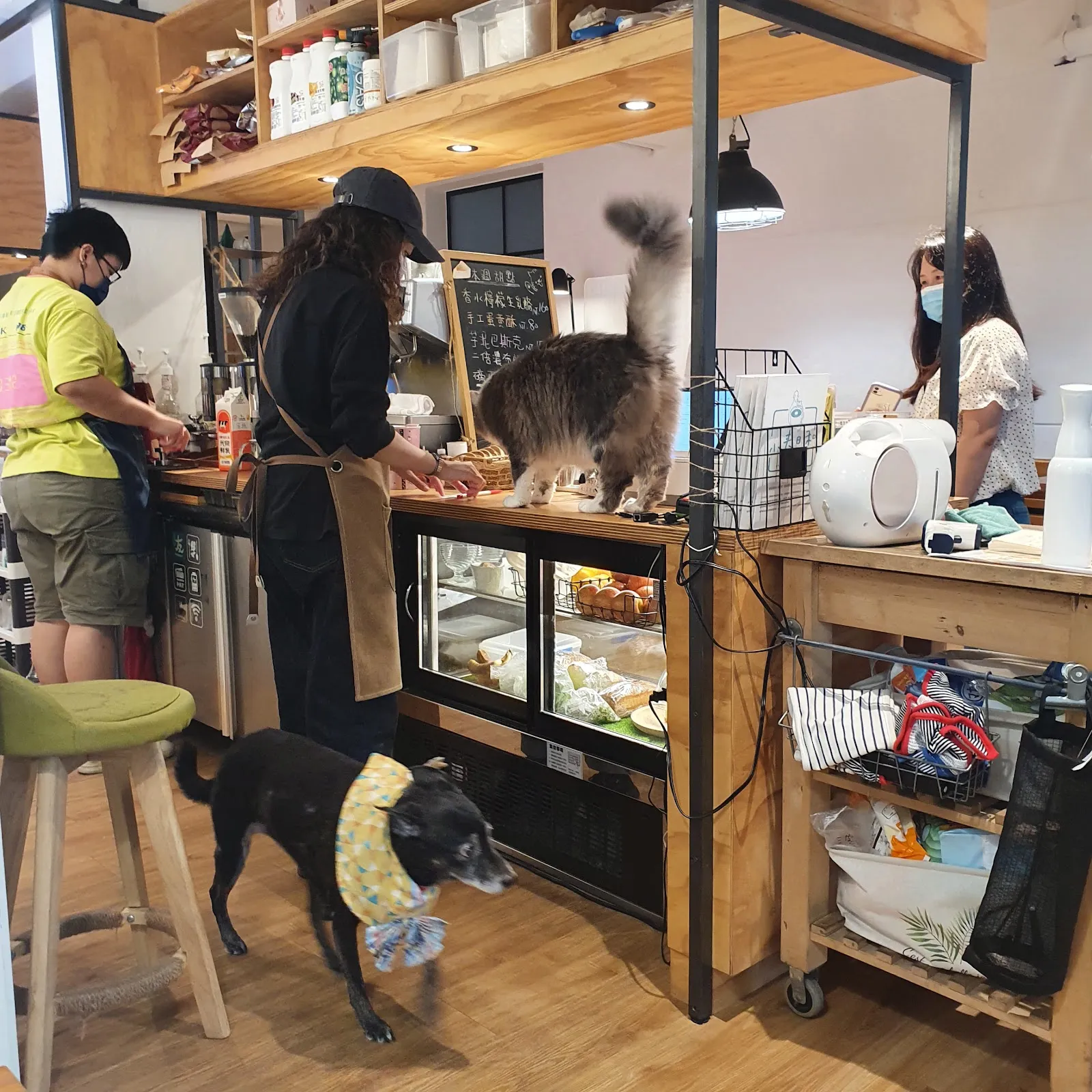 小春日和 動物雜貨‧珈琲