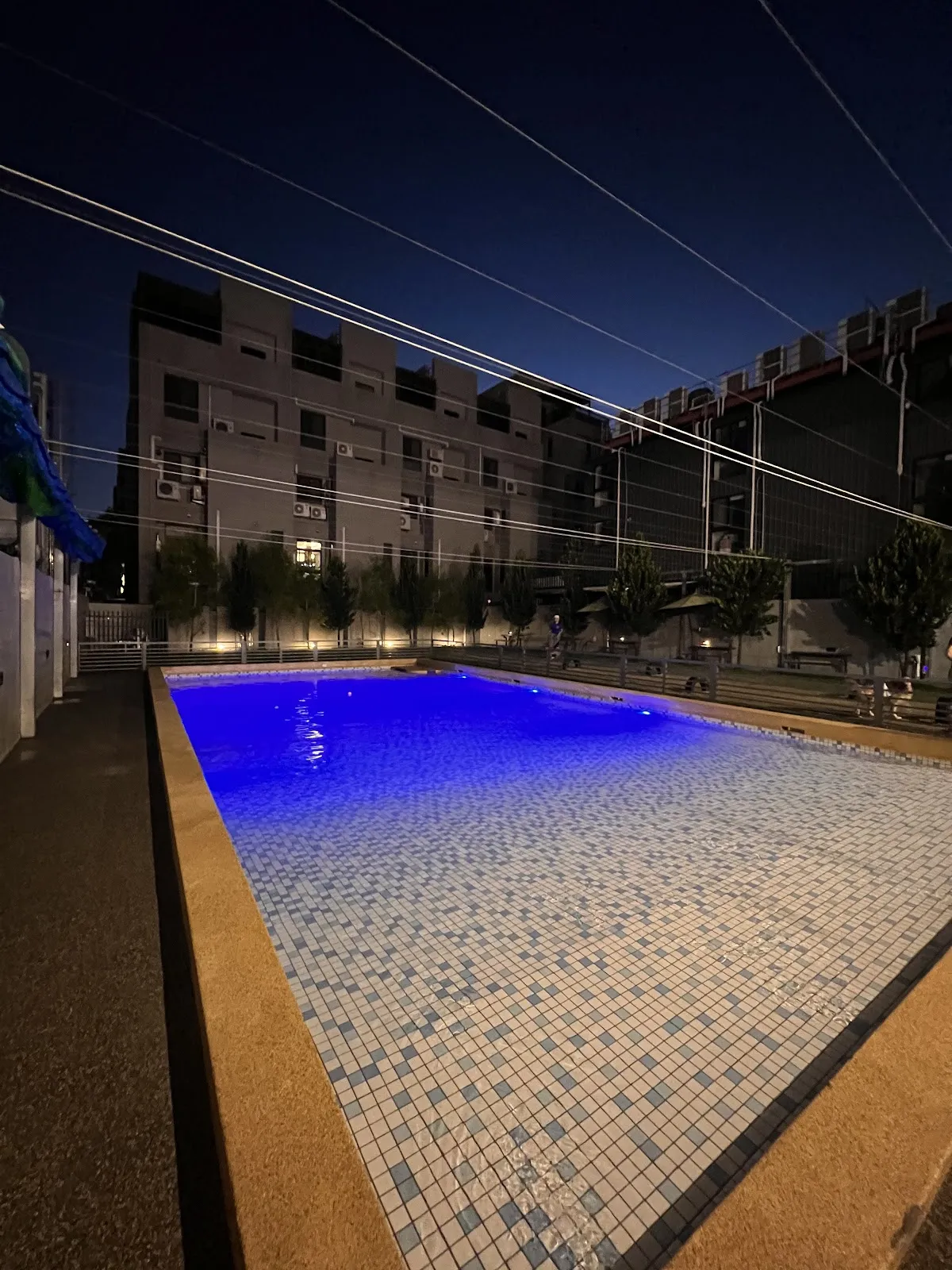 PAT’s KITCHEN (派特寵物友善餐廳)｜寵物美容｜寵物泳池｜寵物安親｜寵物住宿（24小時保母）