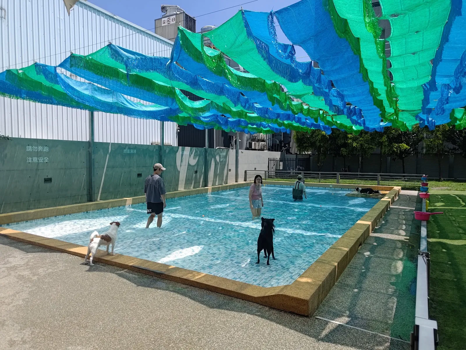 PAT’s KITCHEN (派特寵物友善餐廳)｜寵物美容｜寵物泳池｜寵物安親｜寵物住宿（24小時保母）