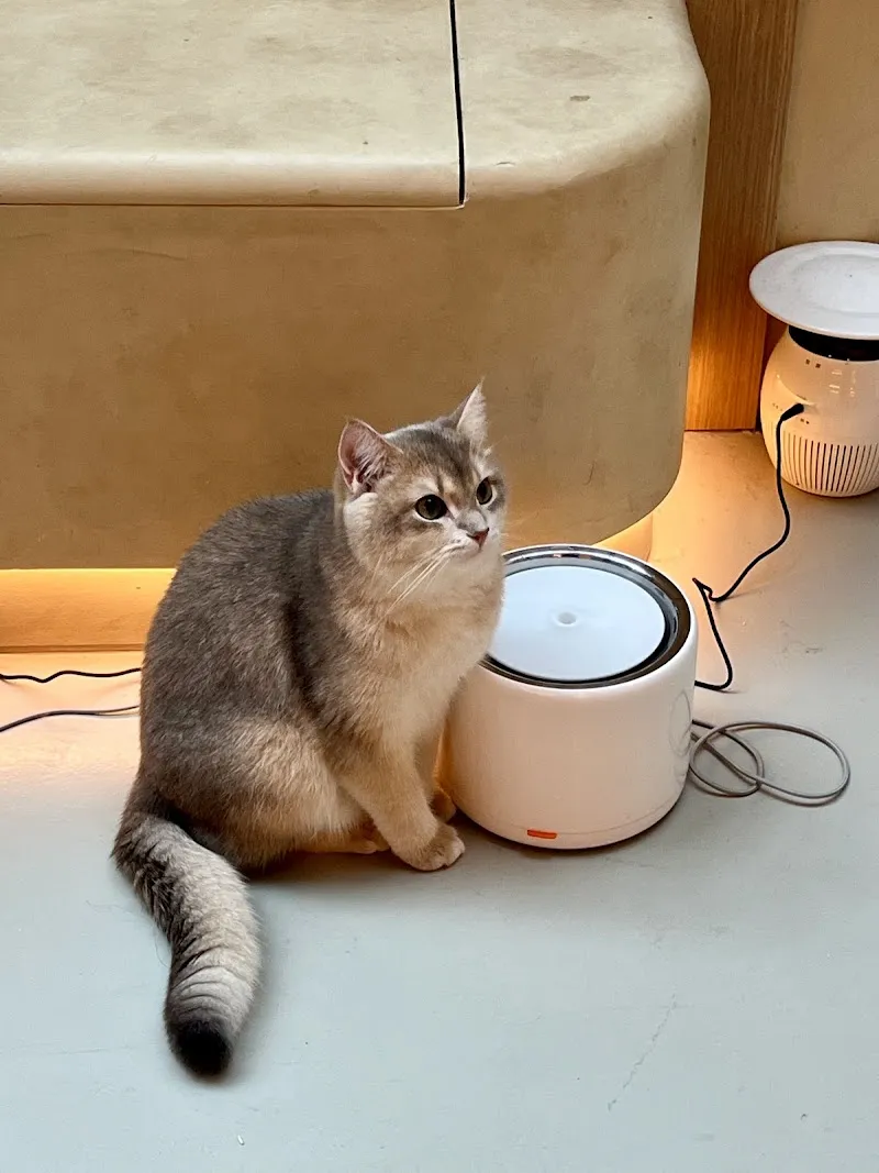 OH MY ZOO 寵物咖啡廳