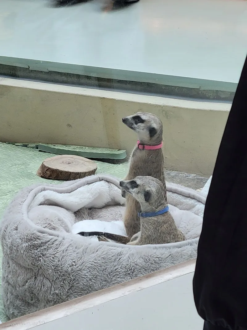 OH MY ZOO 寵物咖啡廳