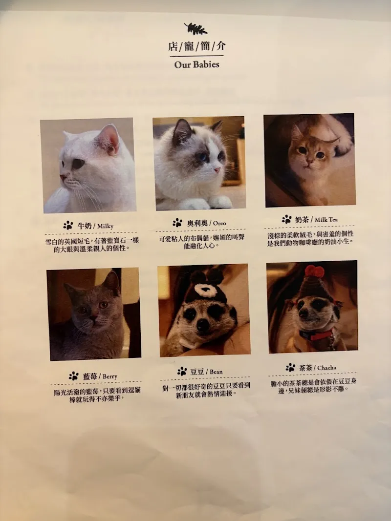 OH MY ZOO 寵物咖啡廳