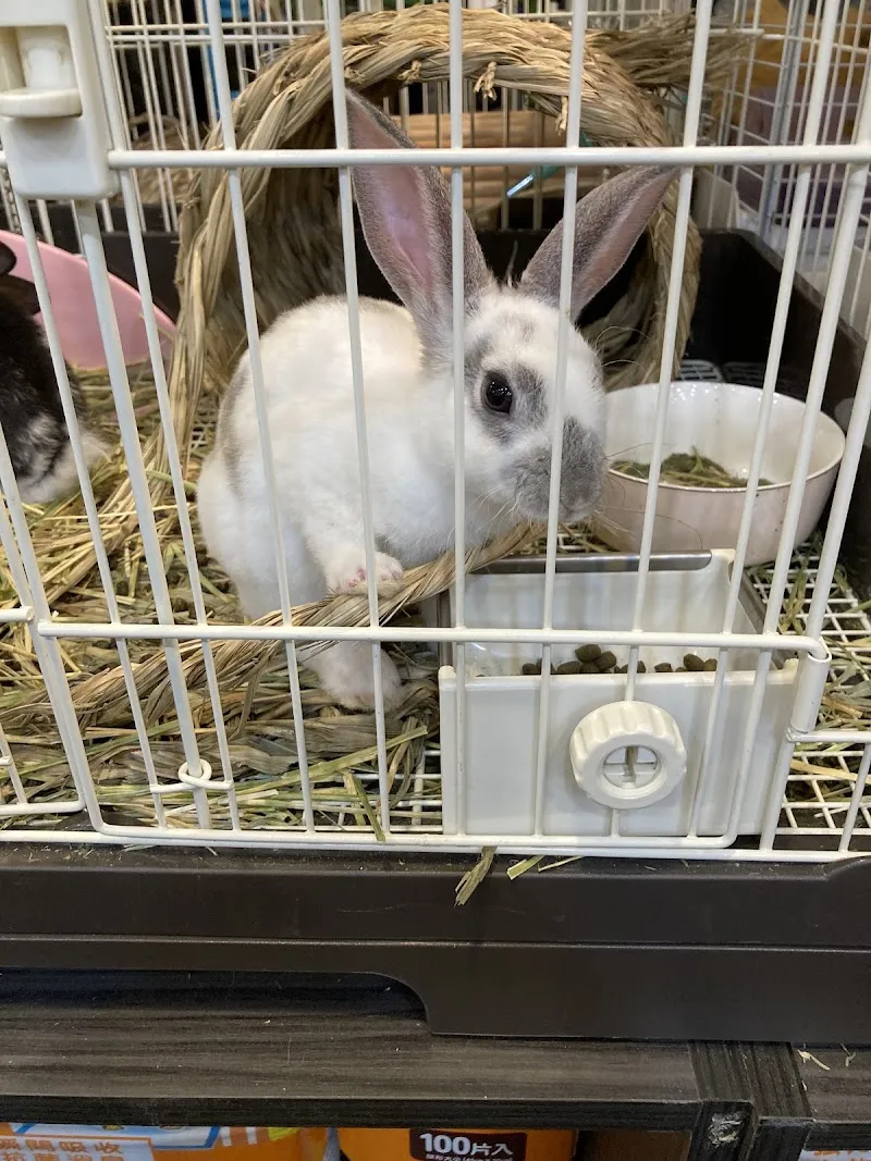 寵物公園(西門店)