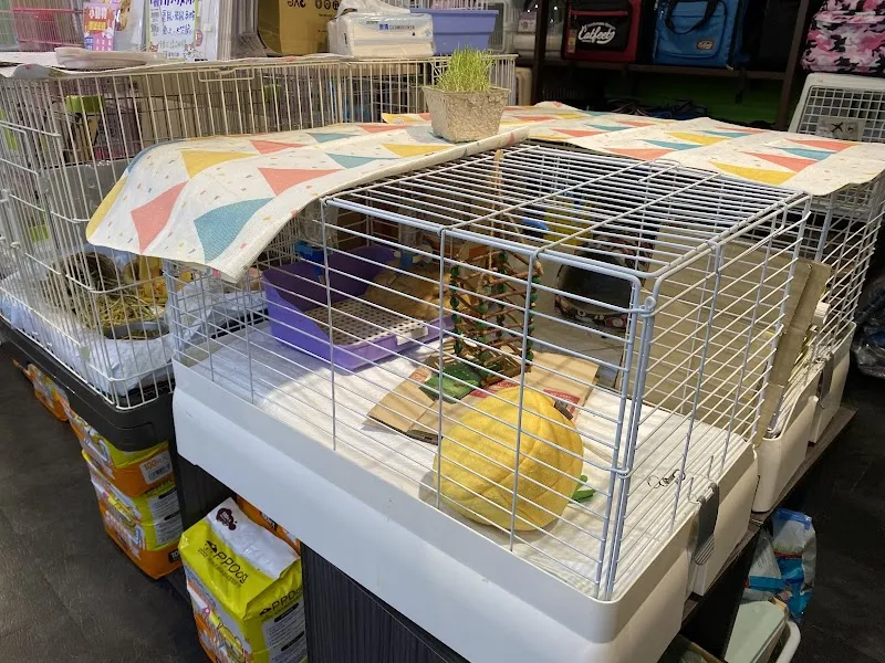 寵物公園(西門店)