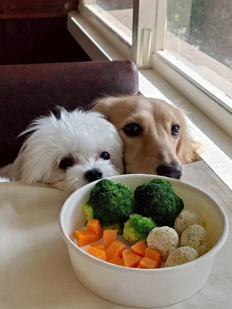 米娜的瘋狂派對/寵物友善餐廳/restaurants/takeout/推薦晚餐/高雄美食/鳳山美食