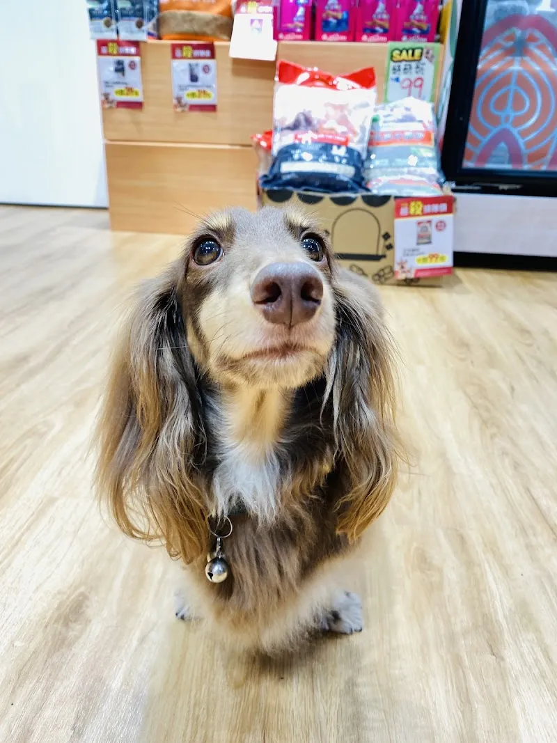 寵物公園(台北安和店) - 專業寵物用品&寵物美容