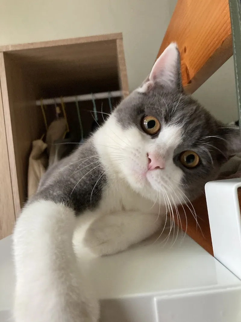 寵物公園(台北安和店) - 專業寵物用品&寵物美容