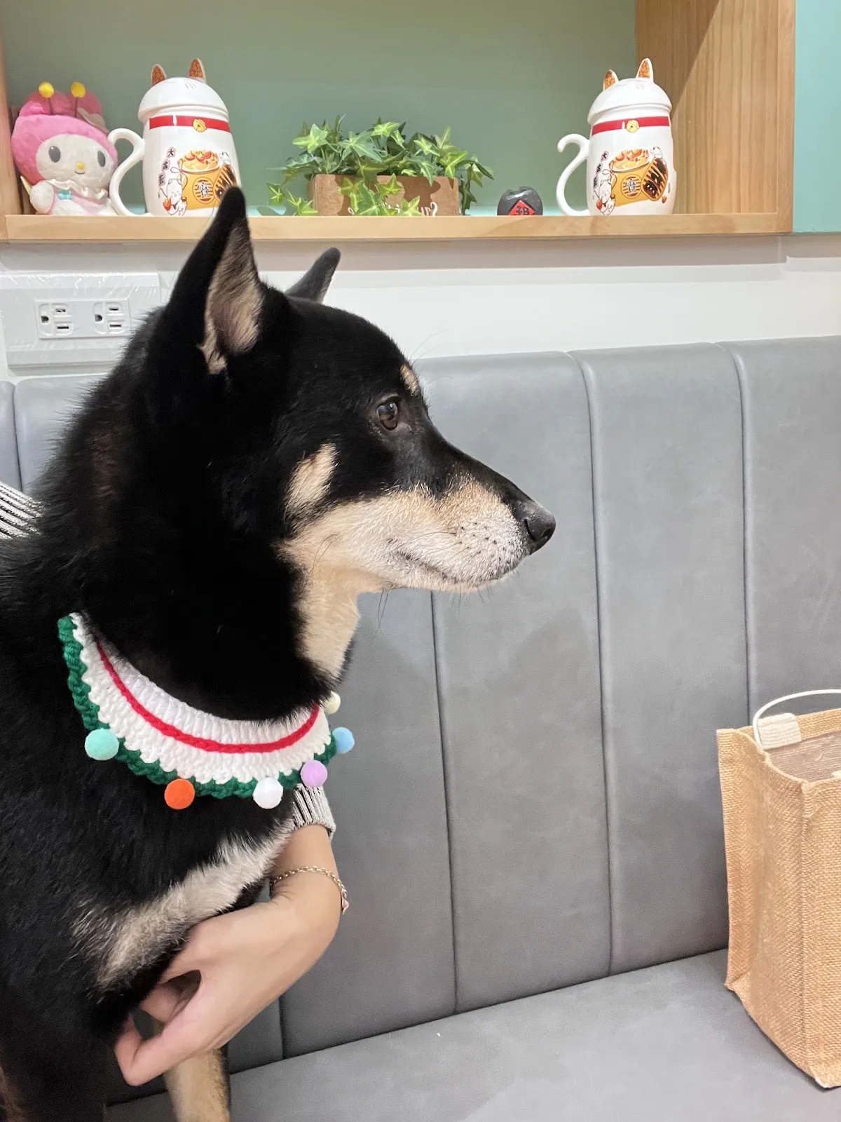 狗窩GoWoof咖啡廳