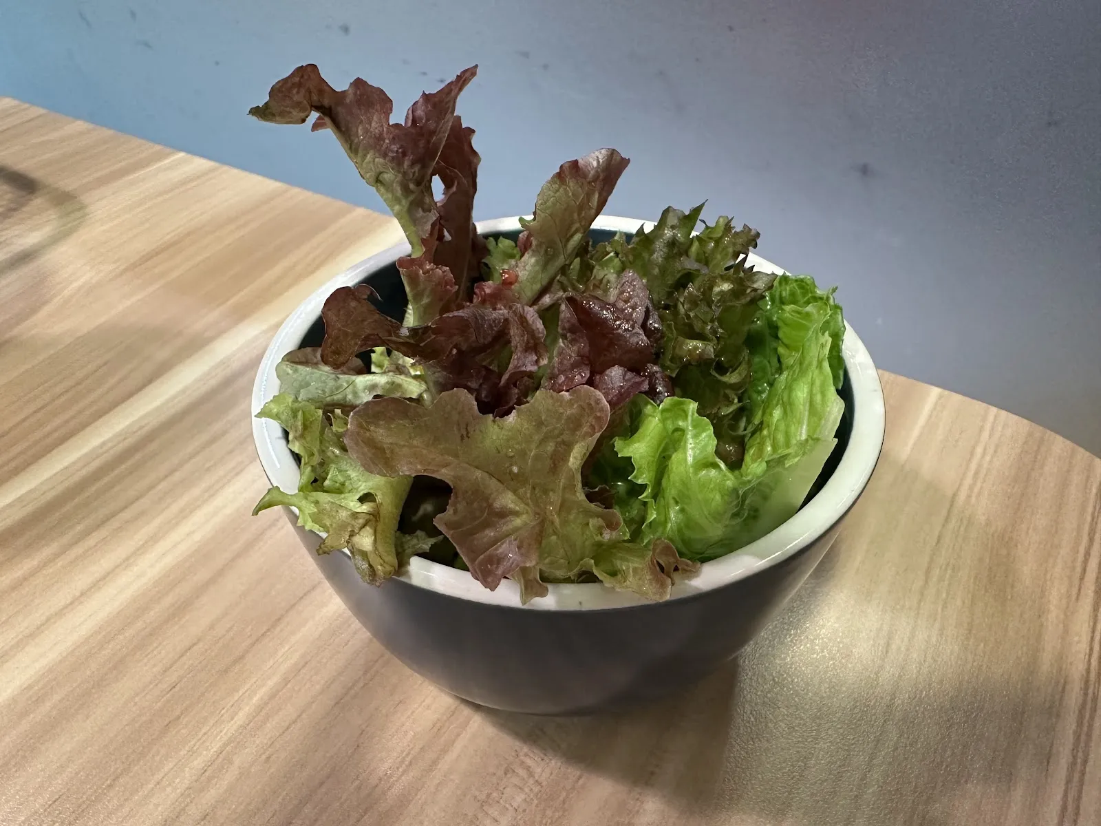 享義食 親子.寵物友善餐廳/義大利麵/燉飯/擼貓/大人放空輕鬆吃飯好去處