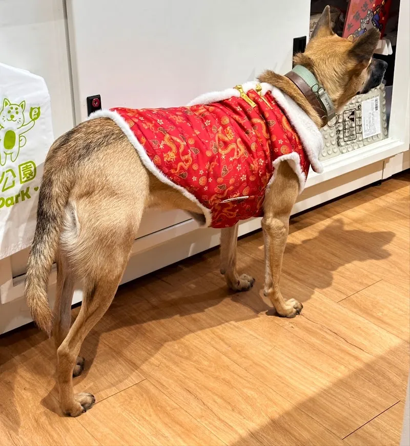 寵物公園(屏東潮州店)