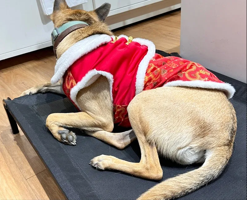 寵物公園(屏東潮州店)