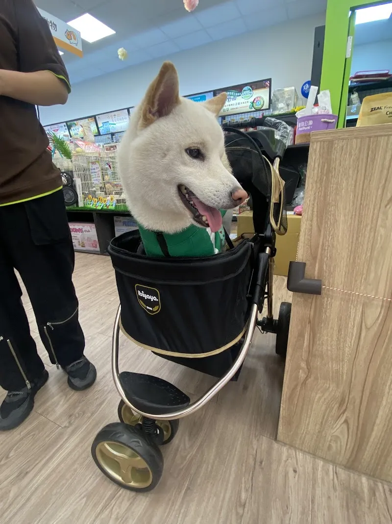 寵物公園(屏東自由店) - 專業寵物用品&寵物美容