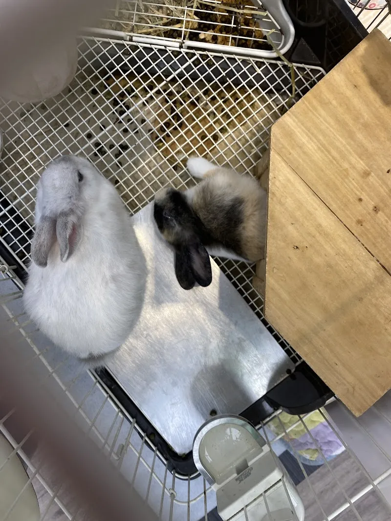 寵物公園(屏東自由店) - 專業寵物用品&寵物美容