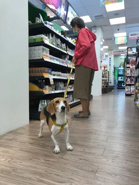 寵物公園(屏東自由店) - 專業寵物用品&寵物美容