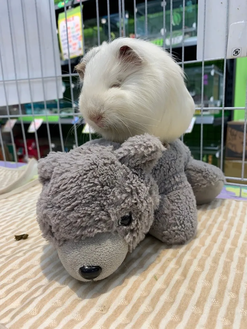 寵物公園(屏東自由店) - 專業寵物用品&寵物美容