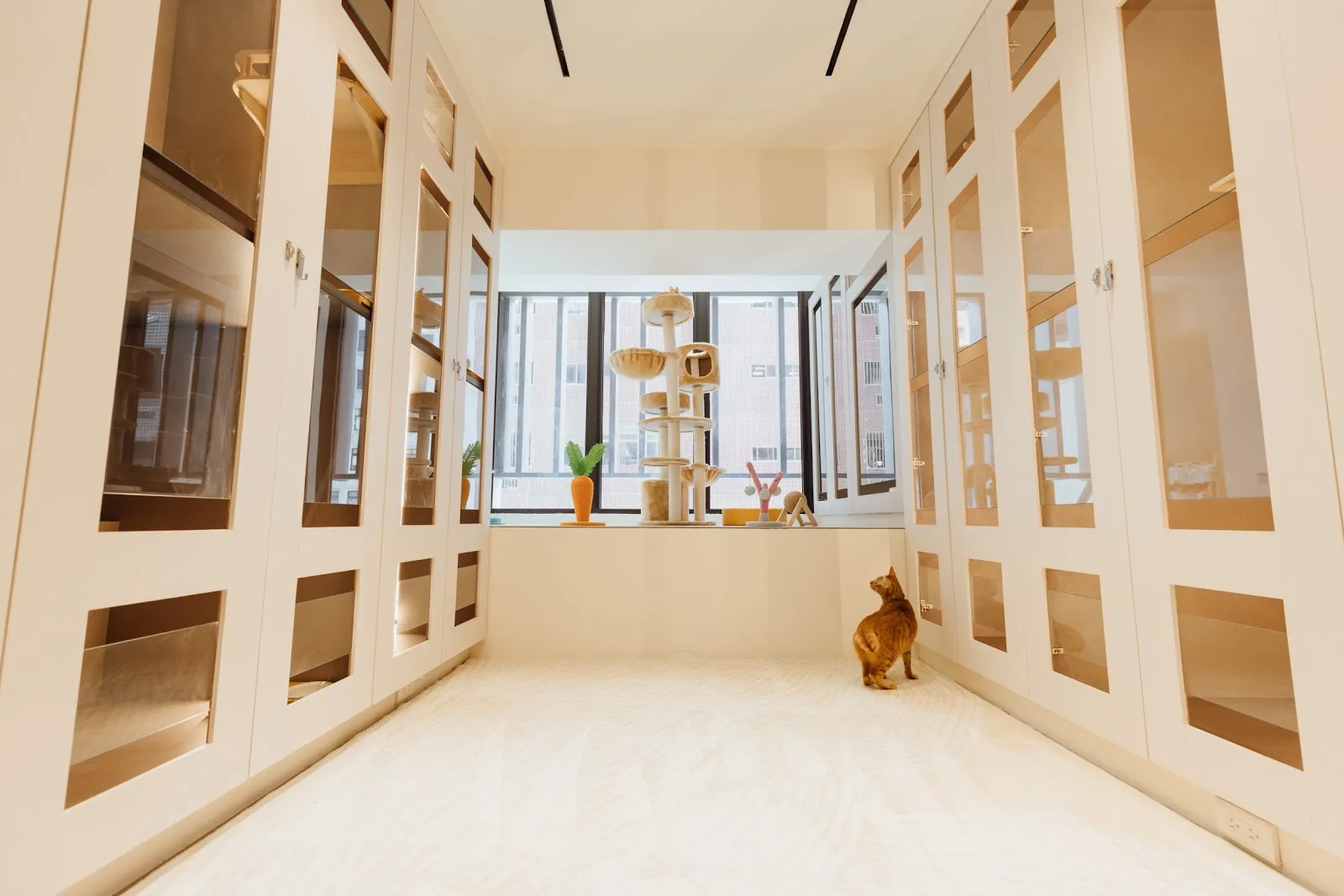 查克音國際有限公司