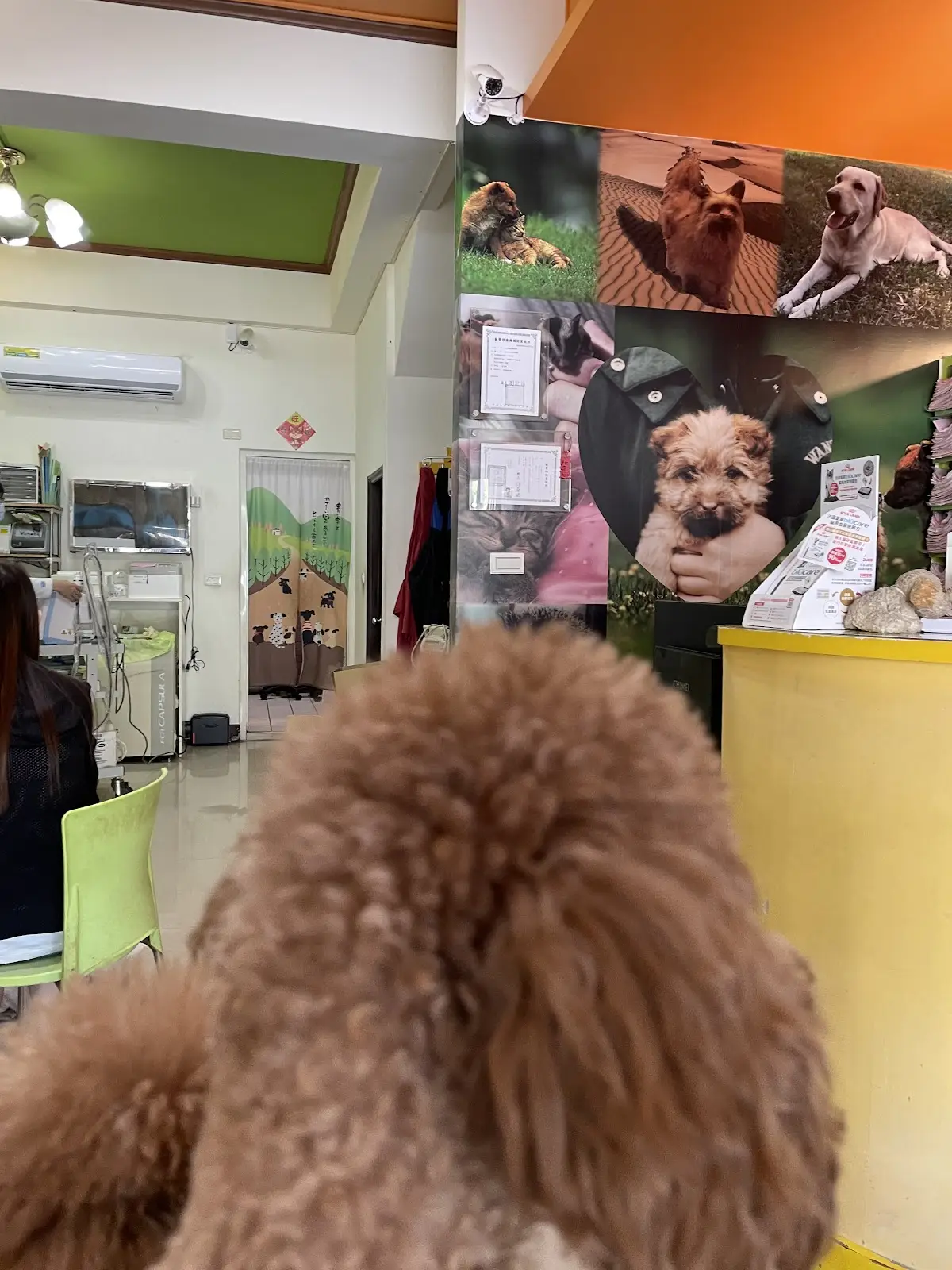 波麥比有限公司