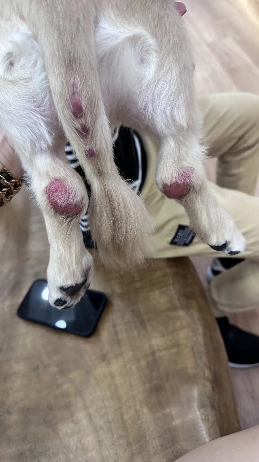 喜狗喜貓寵物生活館