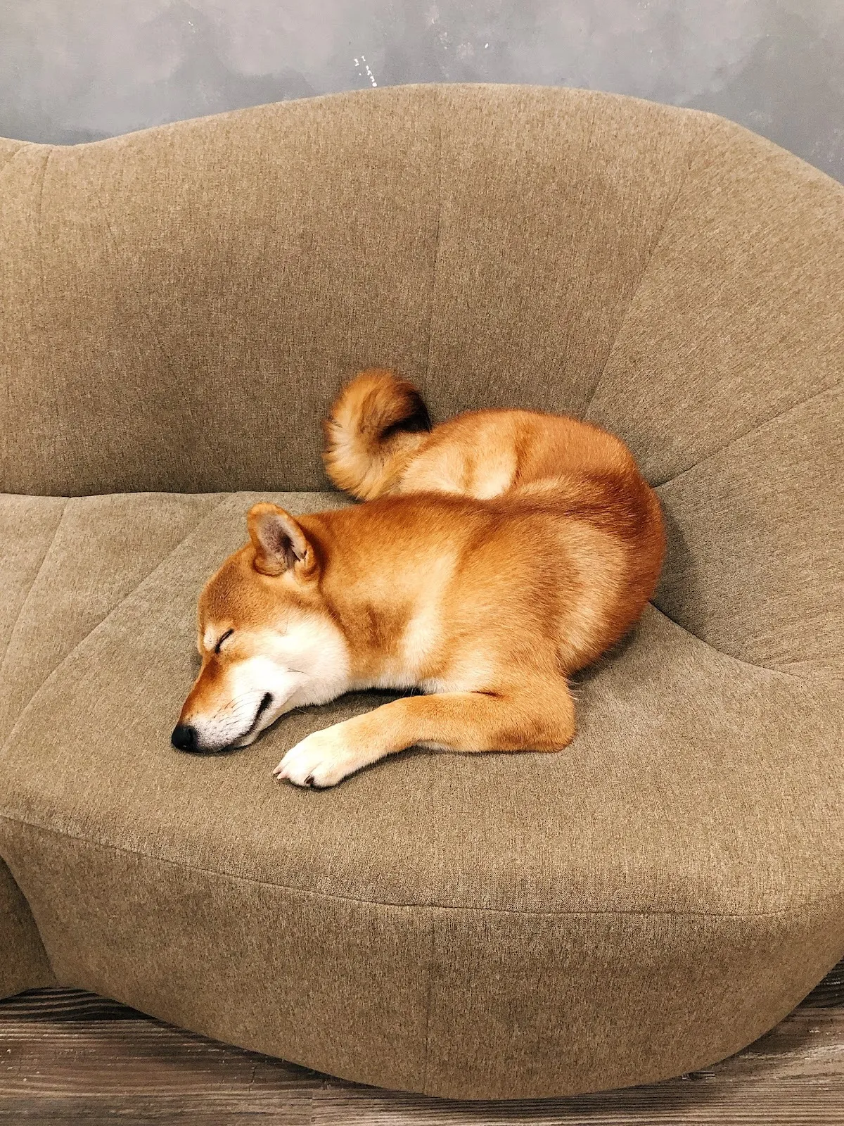 喜狗喜貓寵物生活館