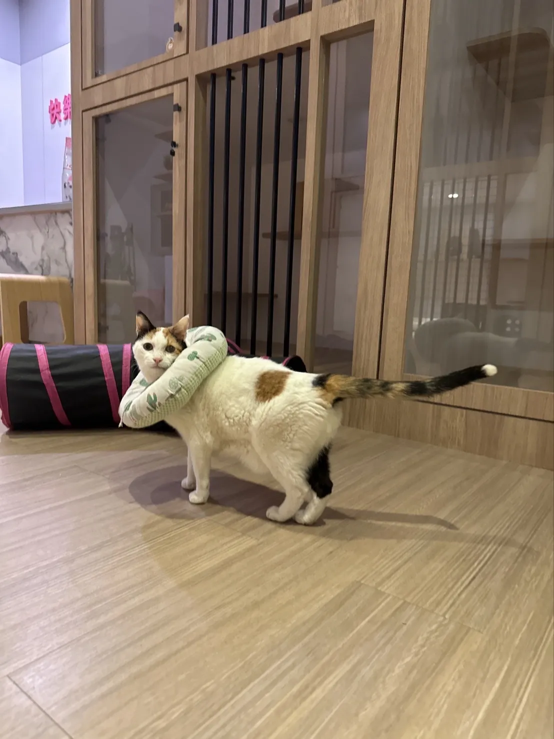 快樂尾巴寵物旅館