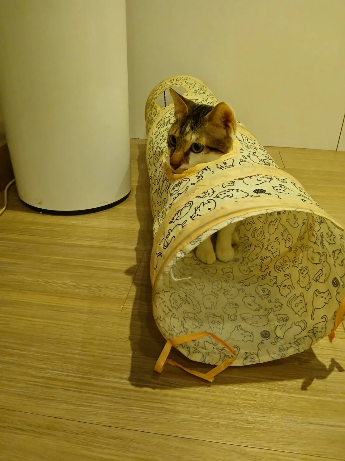 快樂尾巴寵物旅館