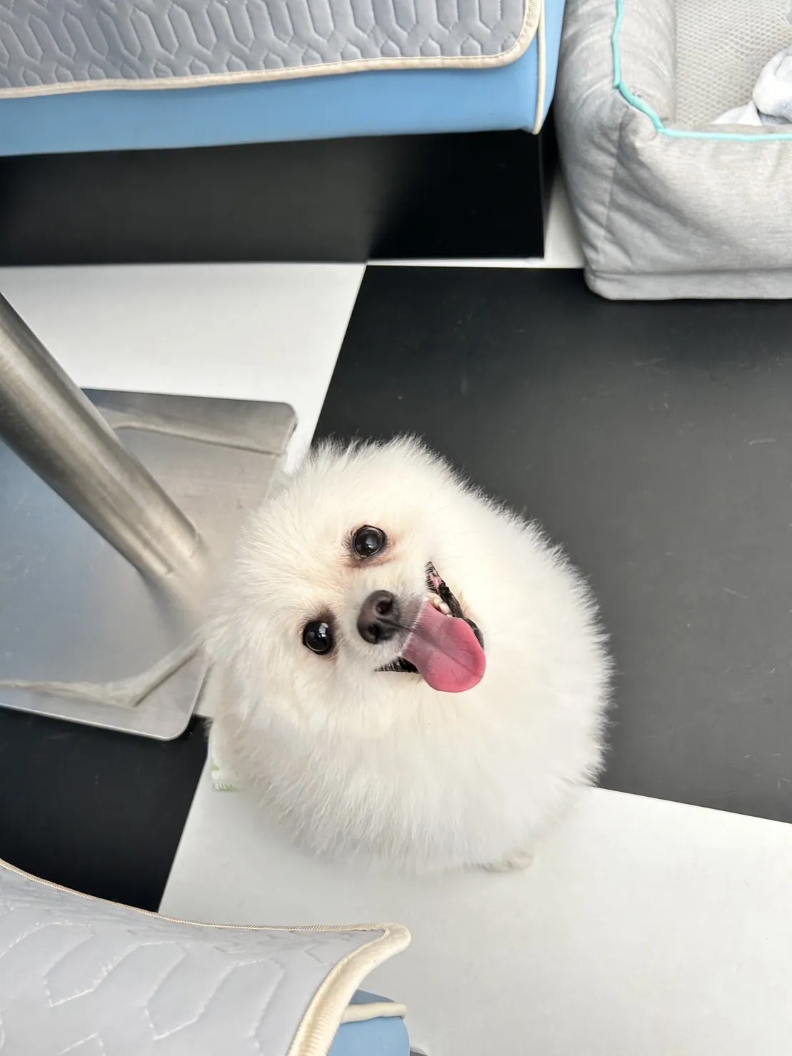 有安芯寵物生活館