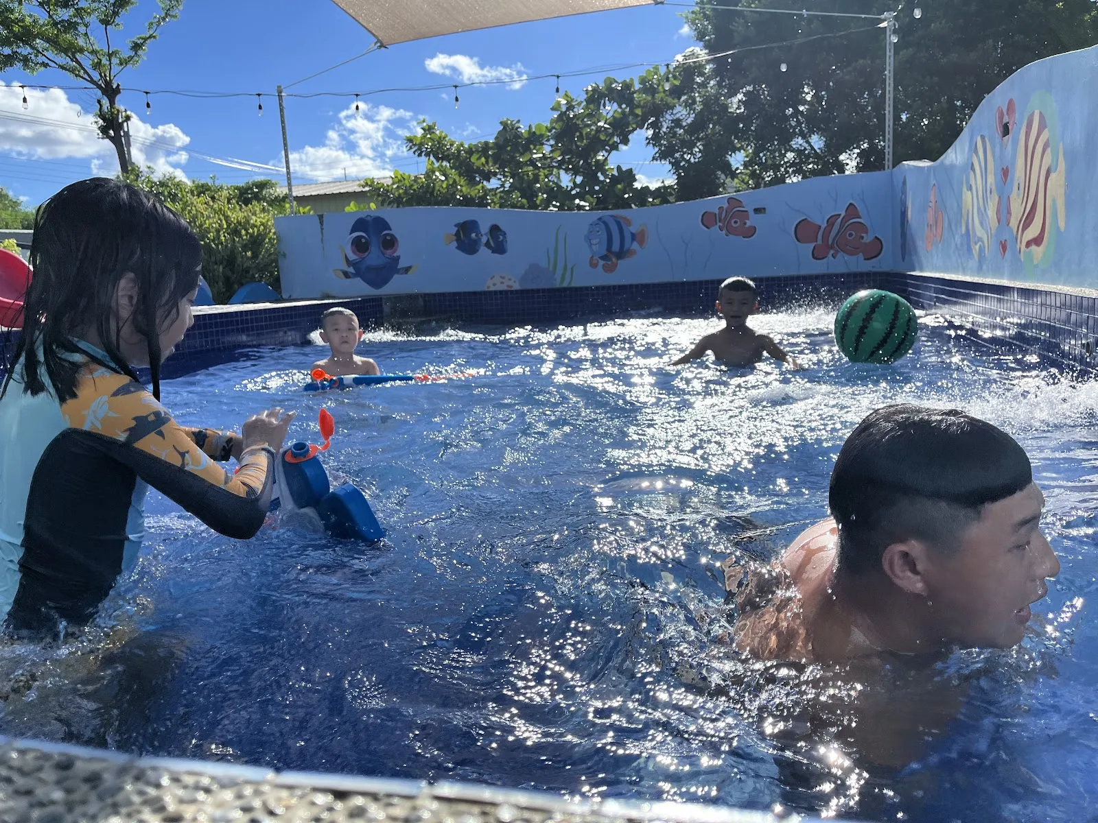 狗狗做體操寵物旅館