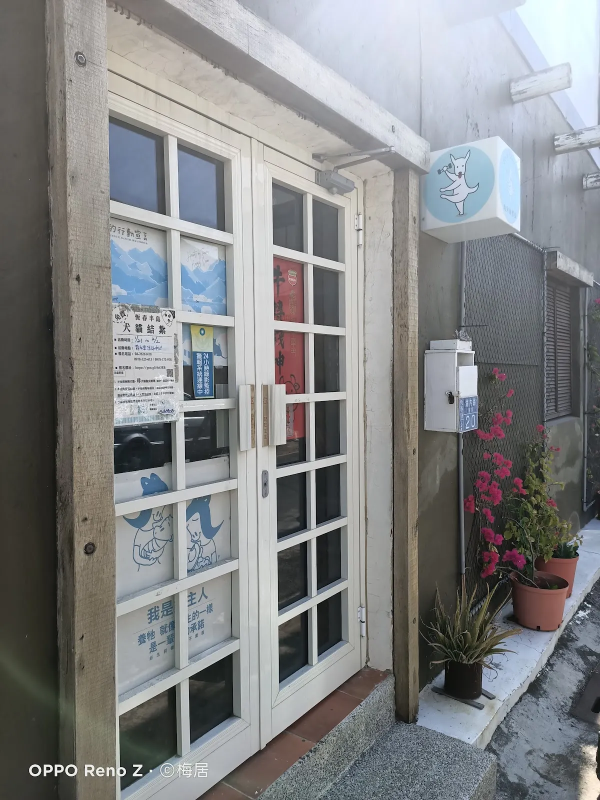 狗狗做體操寵物旅館