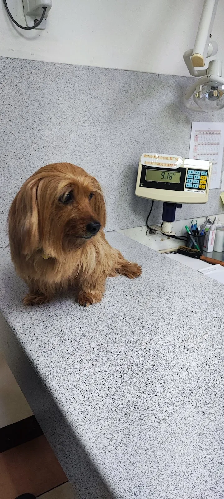 太樸寵物生活館