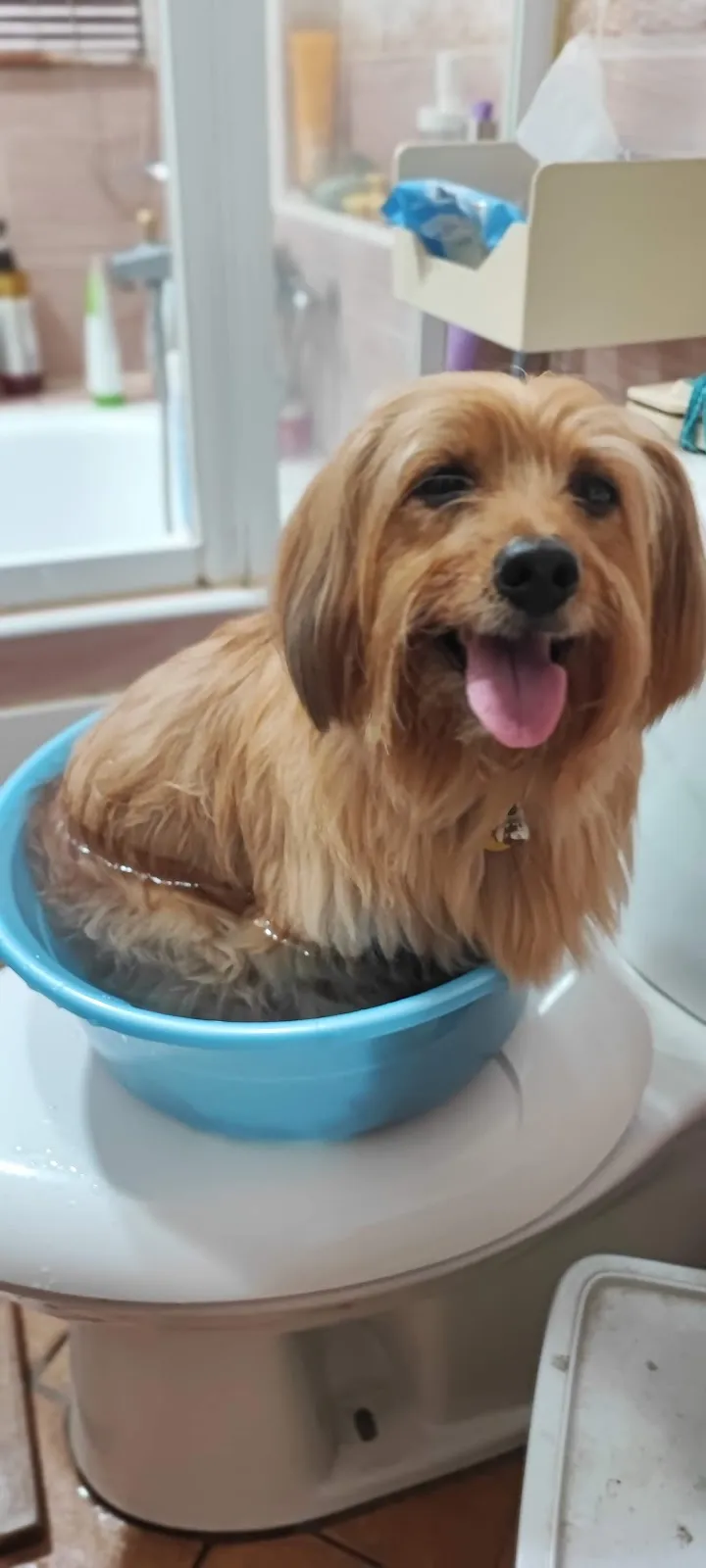 太樸寵物生活館