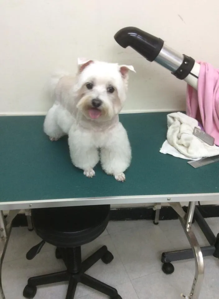 皇良寵物生活館