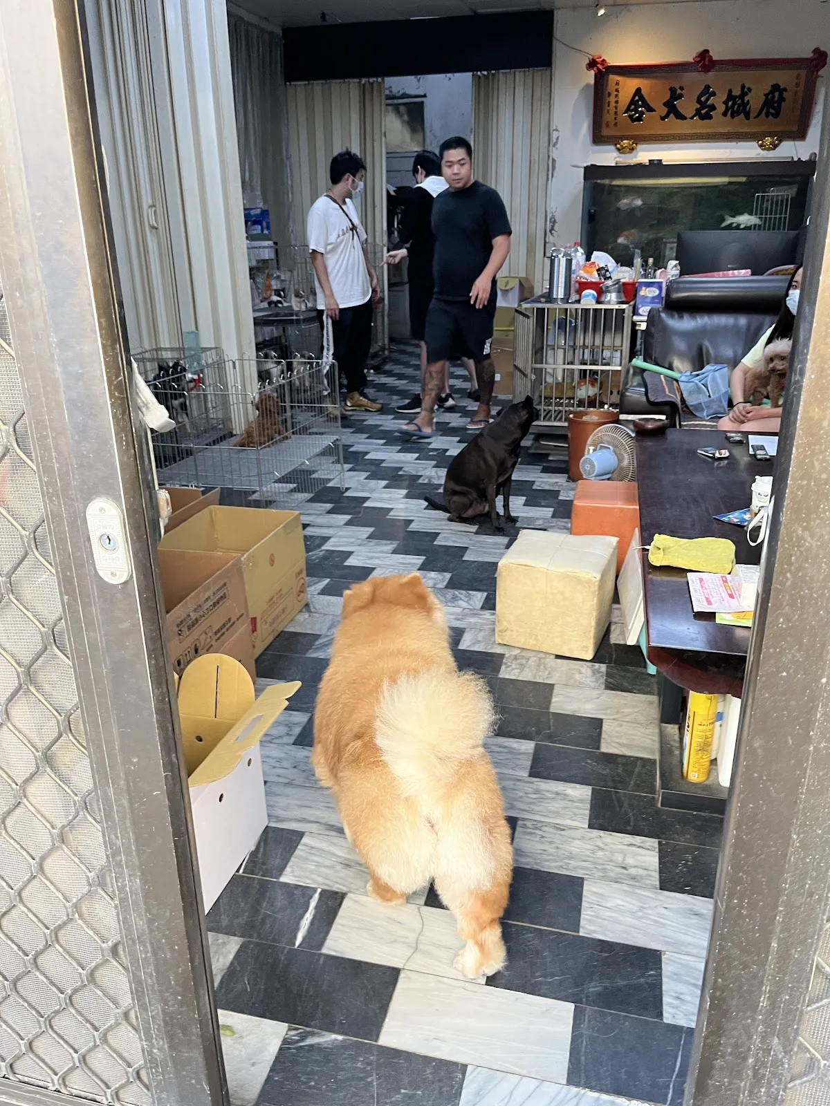 府城名犬舍