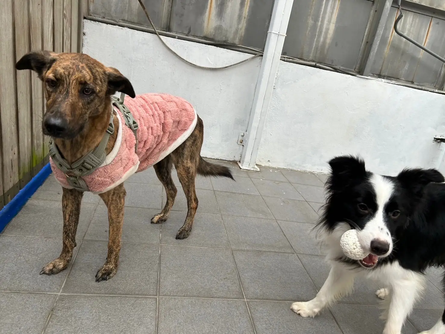 跨樂提有限公司