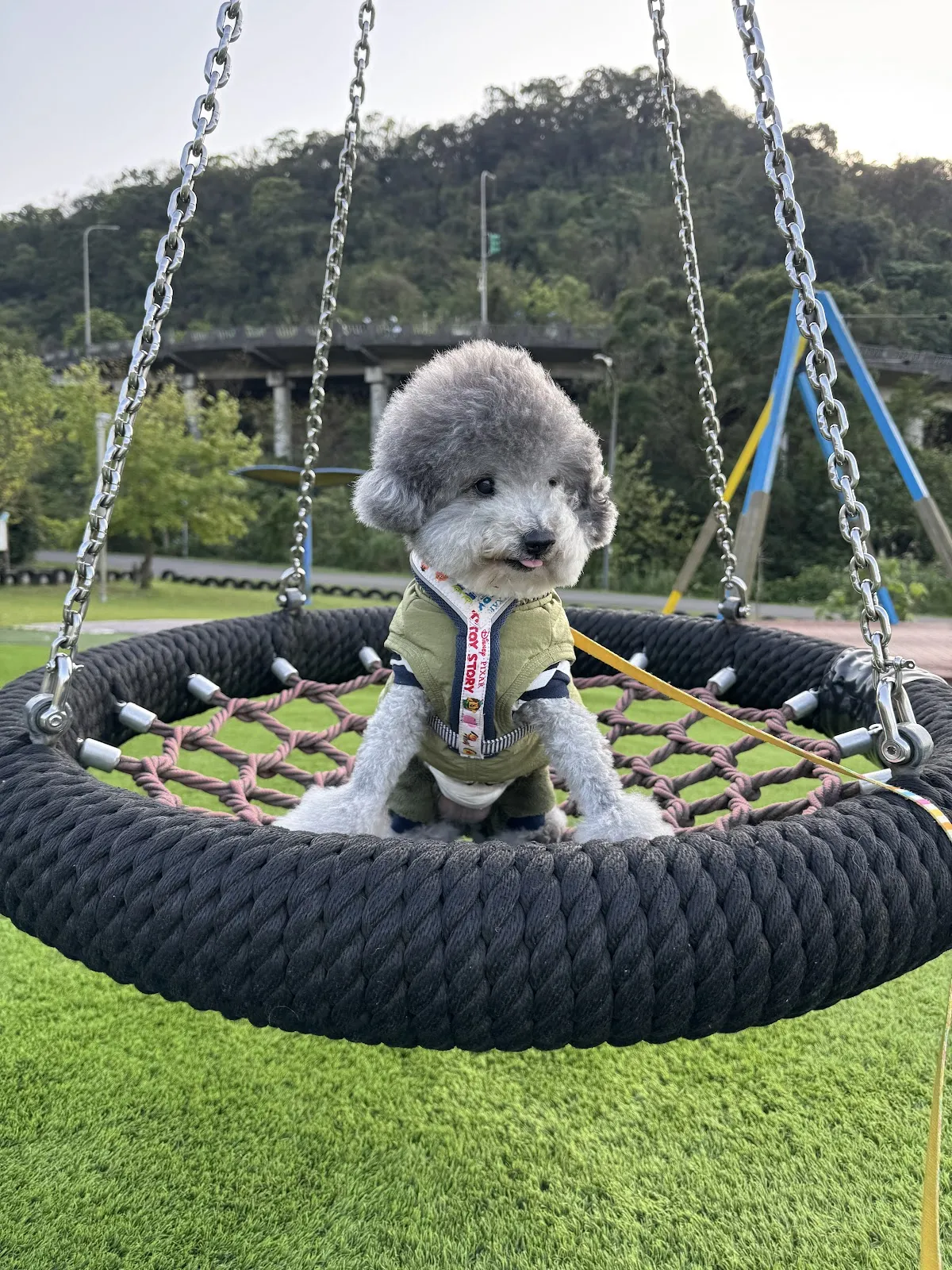 牛牛屋寵物精品旅館