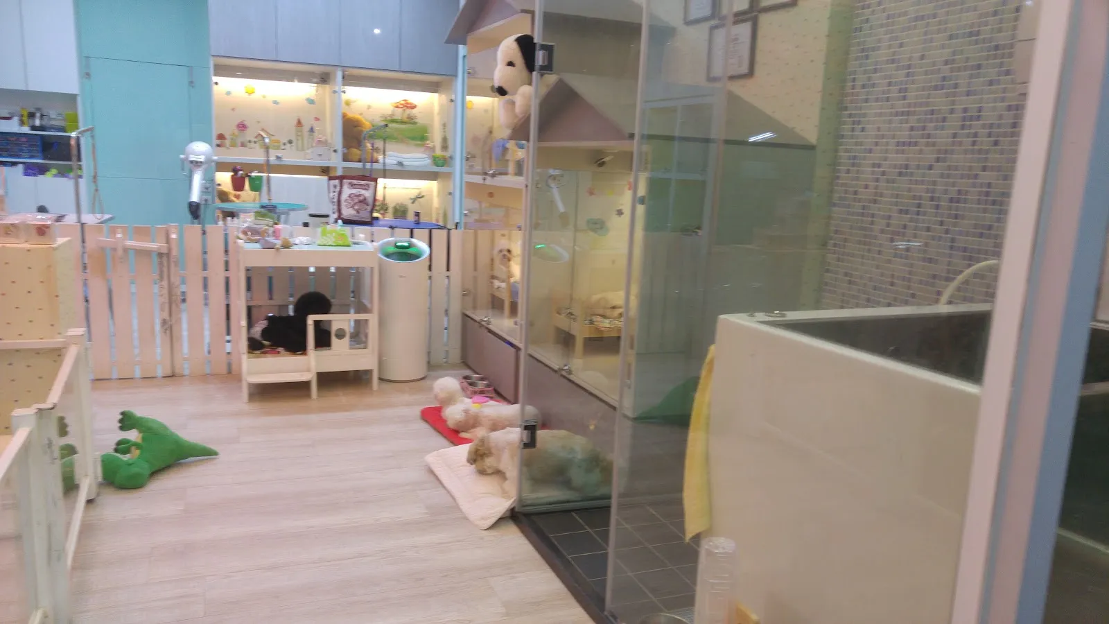 牛牛屋寵物精品旅館