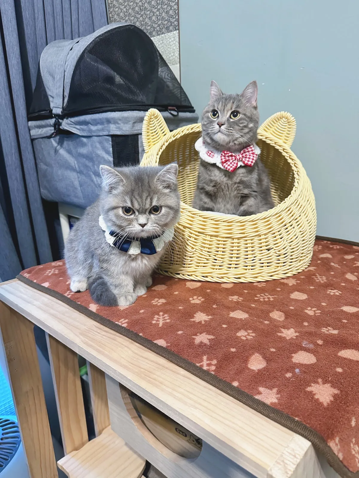 優逗寵物水族量販